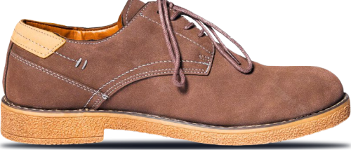footer-shoe-img